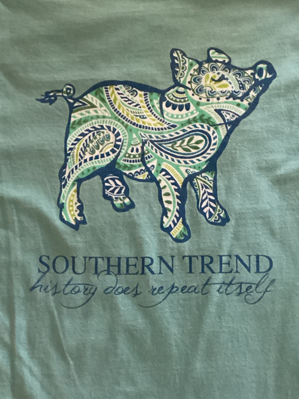 Light Teal Long-Sleeve Graphic Tee - Paisley Pig